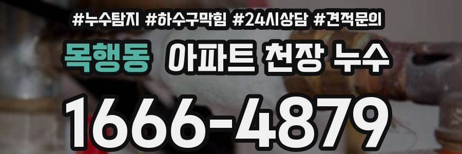 목행동 아파트 천장 누수