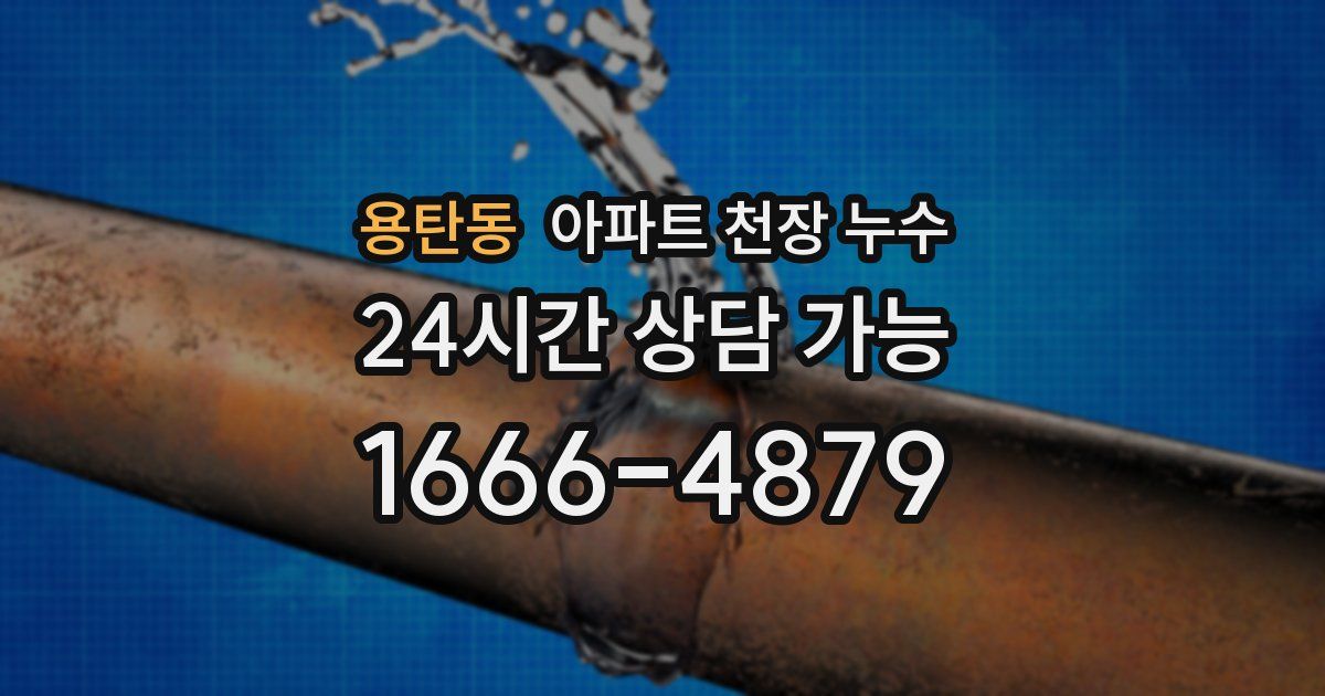 용탄동 아파트 천장 누수