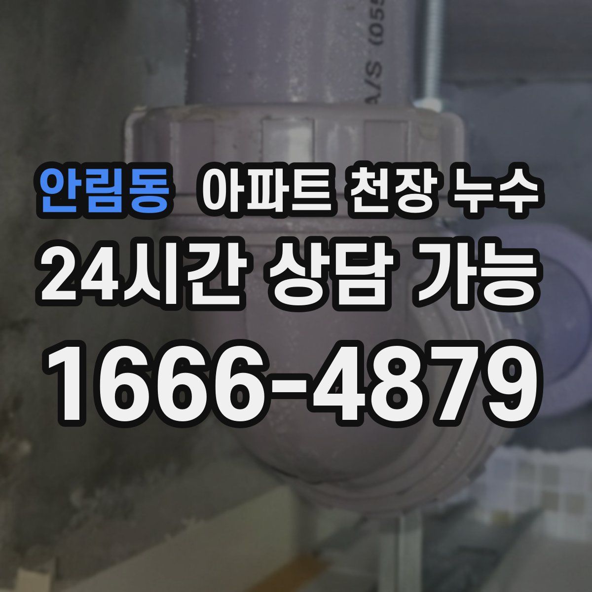 안림동 아파트 천장 누수