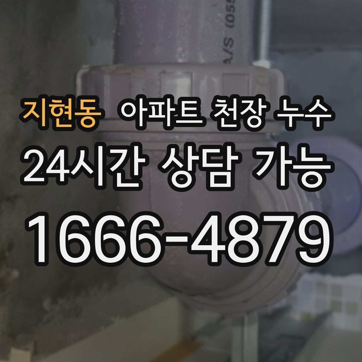 지현동 아파트 천장 누수