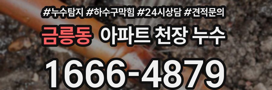 금릉동 아파트 천장 누수
