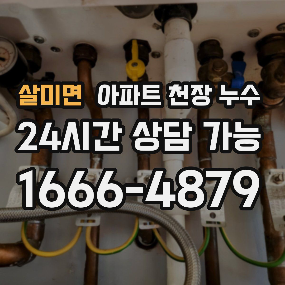 살미면 아파트 천장 누수
