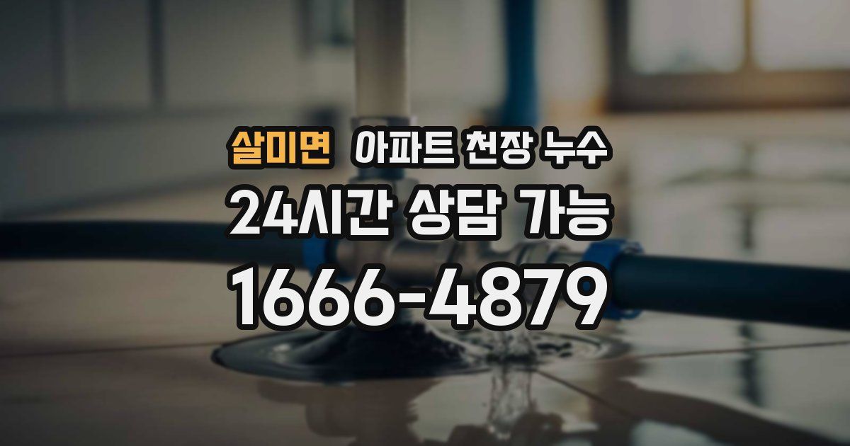 살미면 아파트 천장 누수