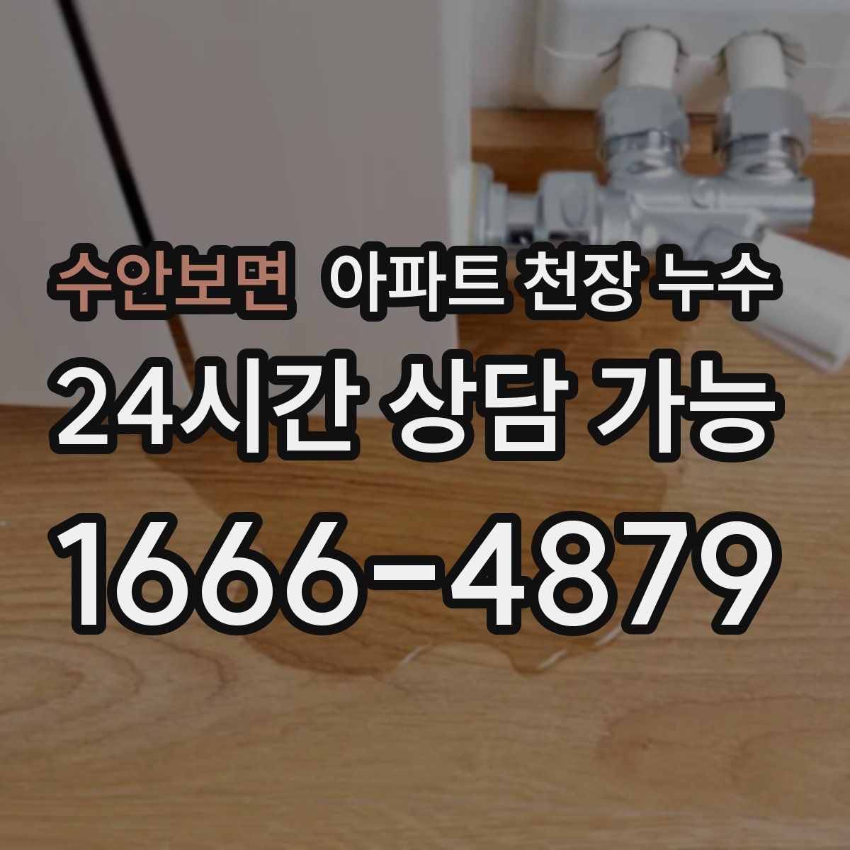 수안보면 아파트 천장 누수