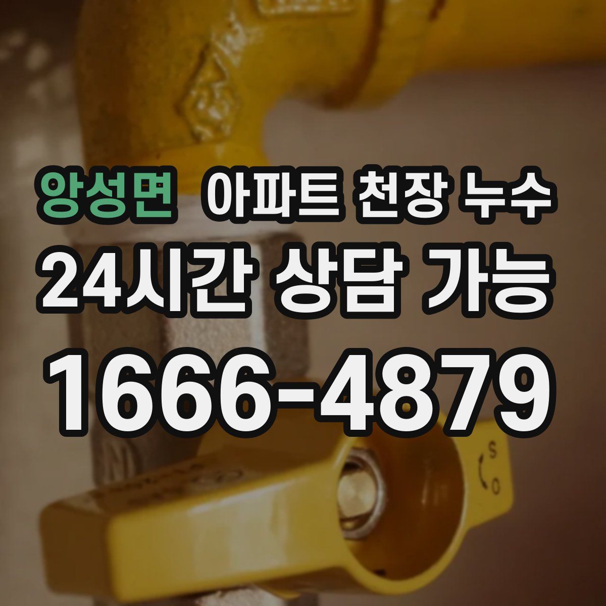 앙성면 아파트 천장 누수
