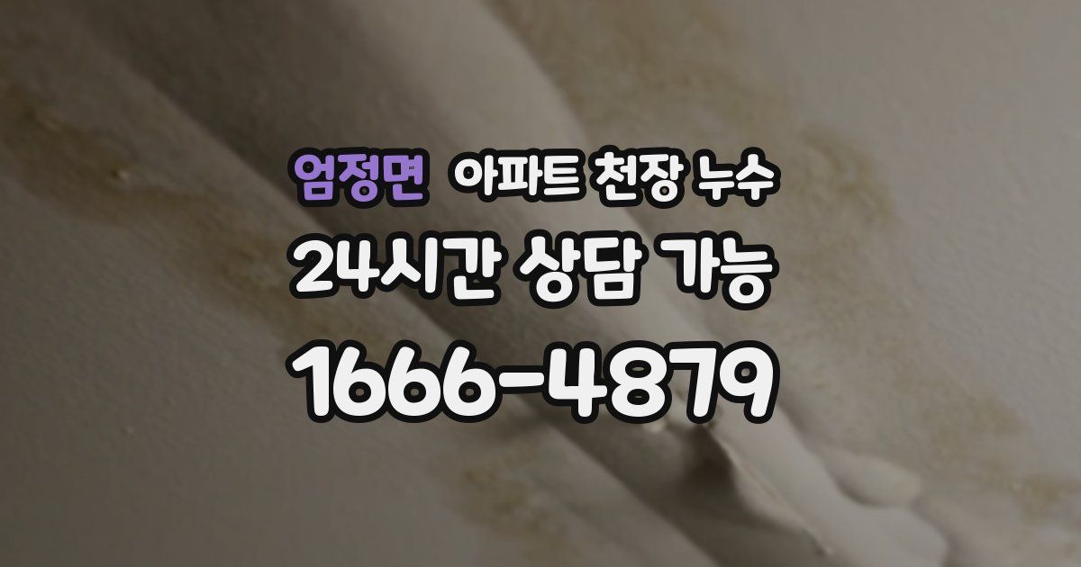 엄정면 아파트 천장 누수