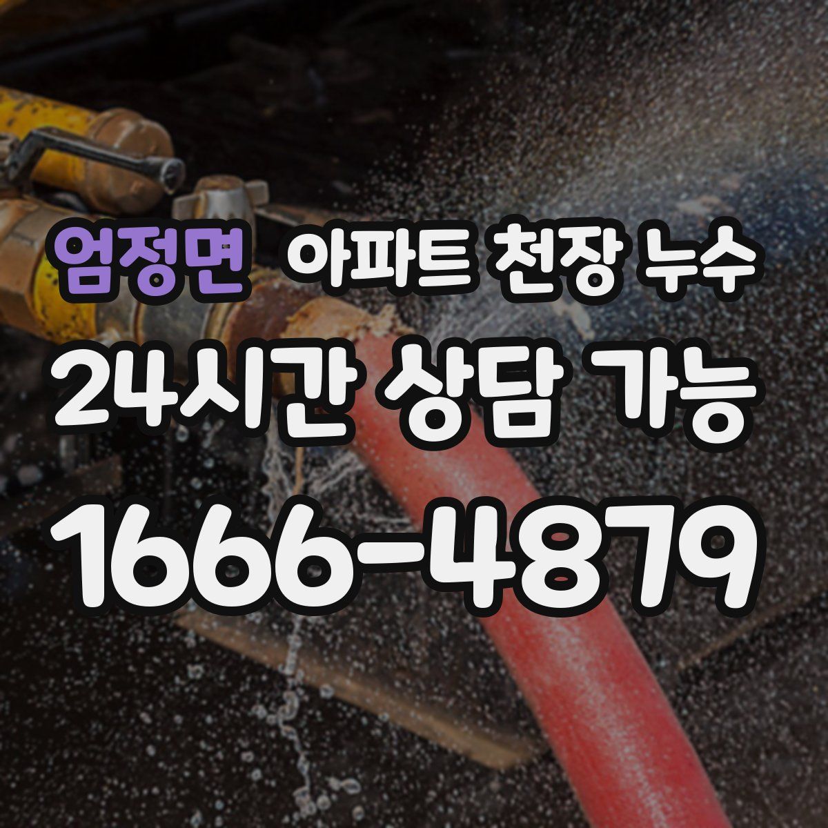 엄정면 아파트 천장 누수