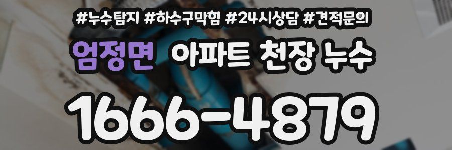 엄정면 아파트 천장 누수