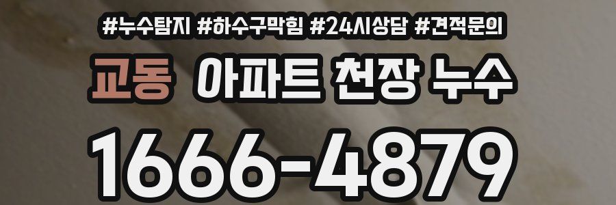 교동 아파트 천장 누수