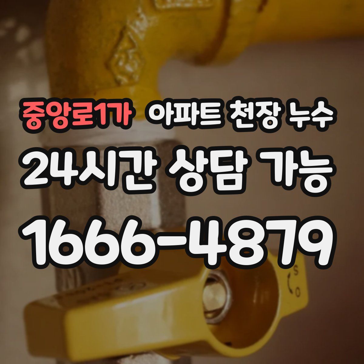 중앙로1가 아파트 천장 누수