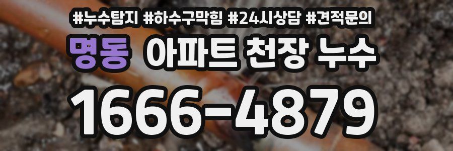 명동 아파트 천장 누수