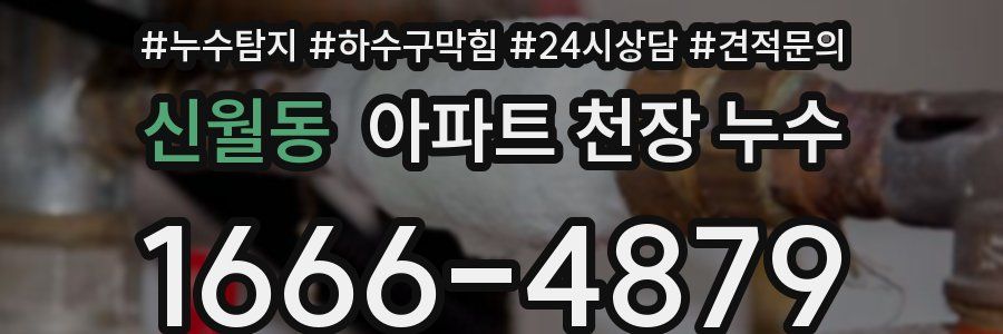신월동 아파트 천장 누수