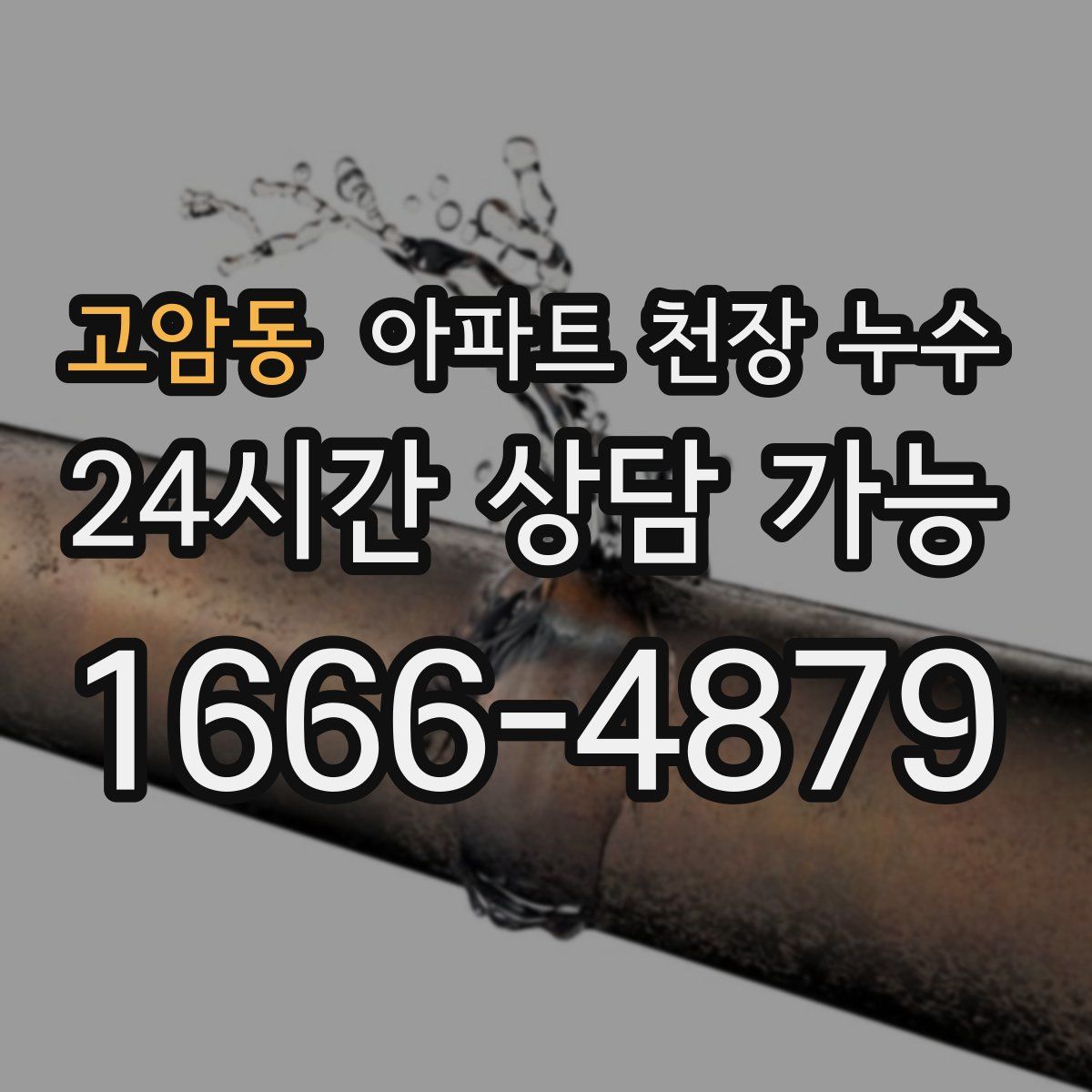 고암동 아파트 천장 누수