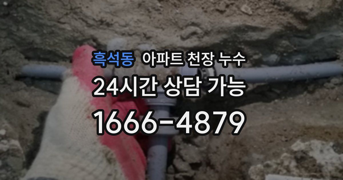 흑석동 아파트 천장 누수