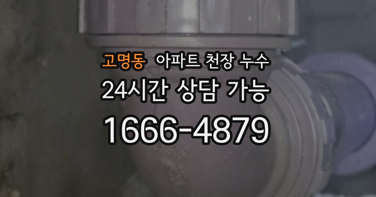 고명동 아파트 천장 누수