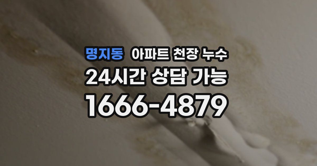 명지동 아파트 천장 누수