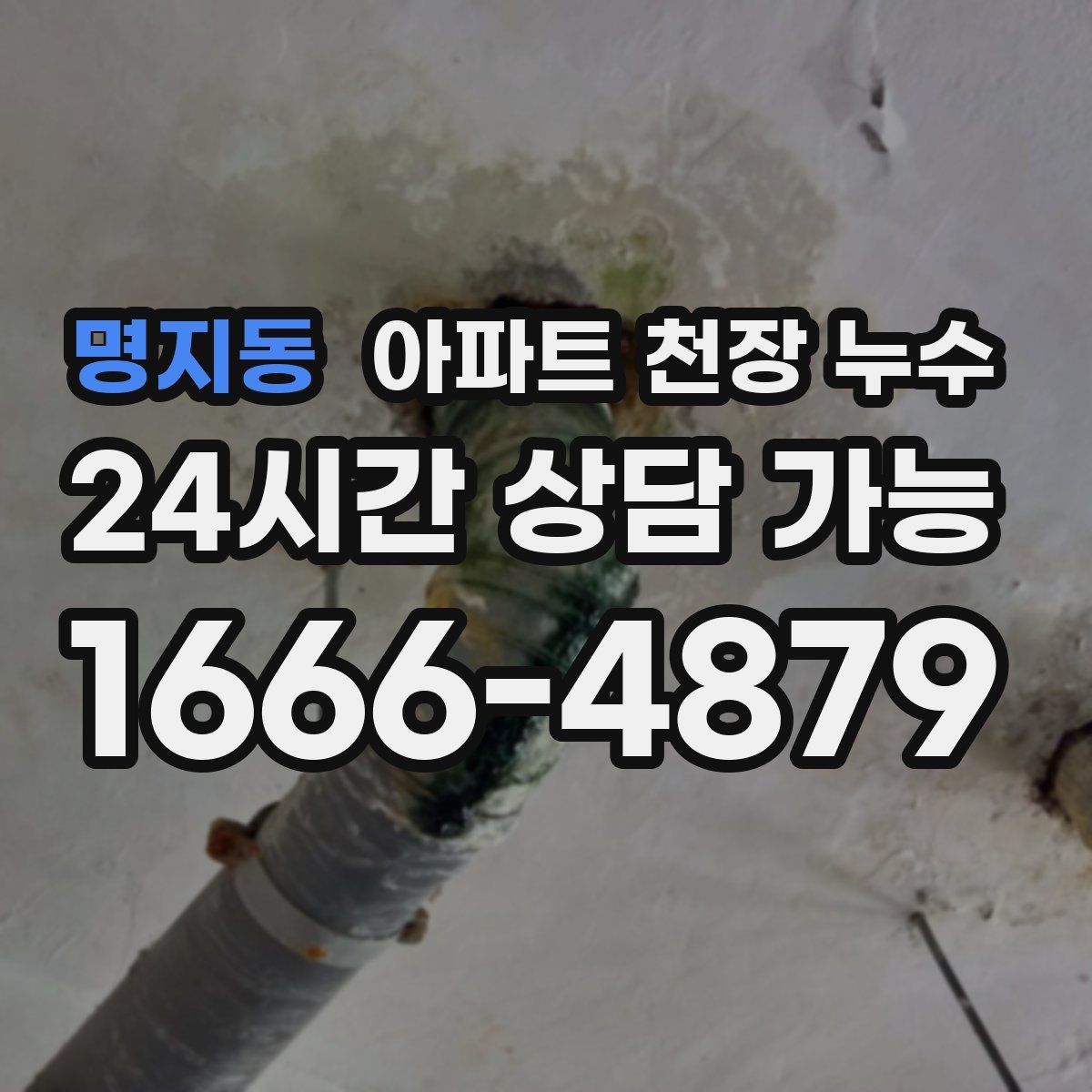 명지동 아파트 천장 누수