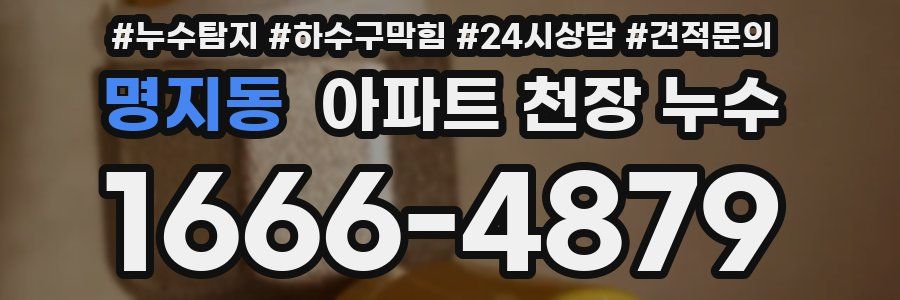 명지동 아파트 천장 누수