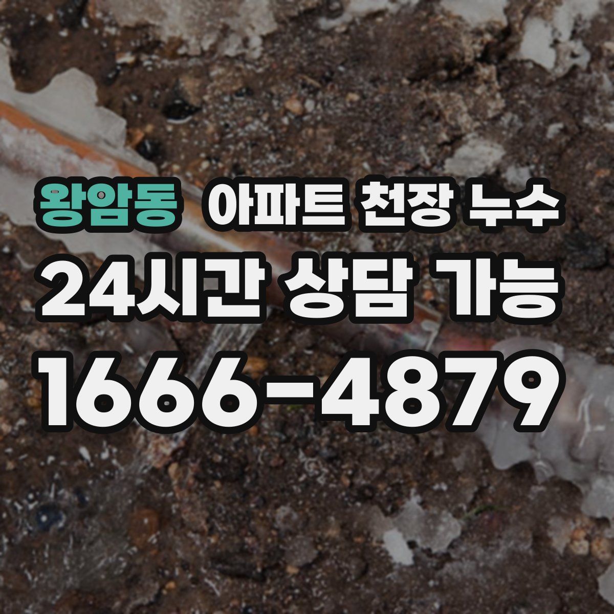 왕암동 아파트 천장 누수