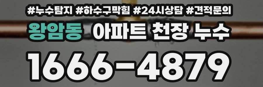 왕암동 아파트 천장 누수