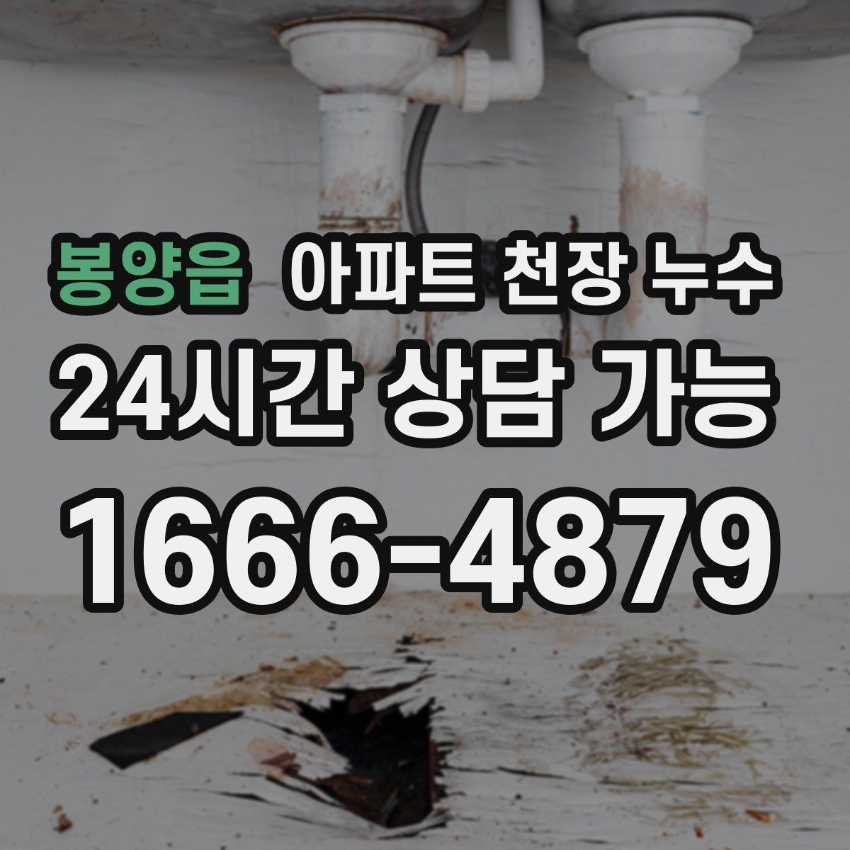 봉양읍 아파트 천장 누수