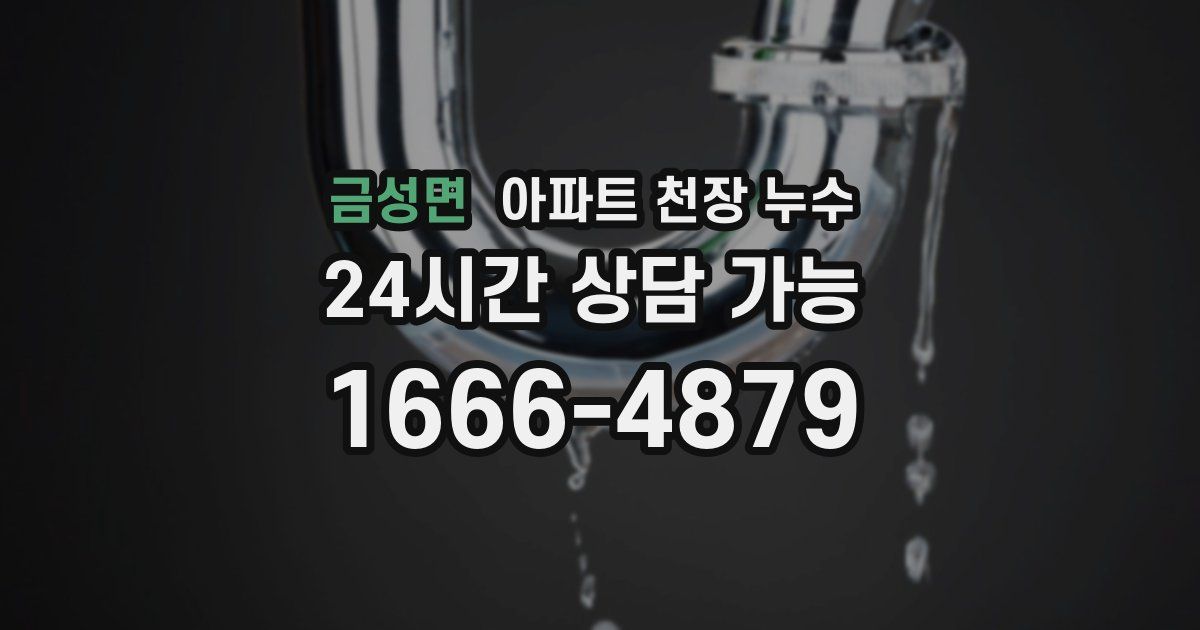 금성면 아파트 천장 누수