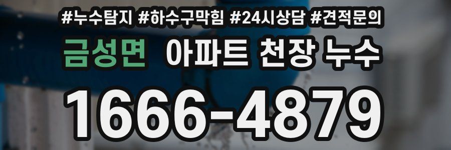 금성면 아파트 천장 누수