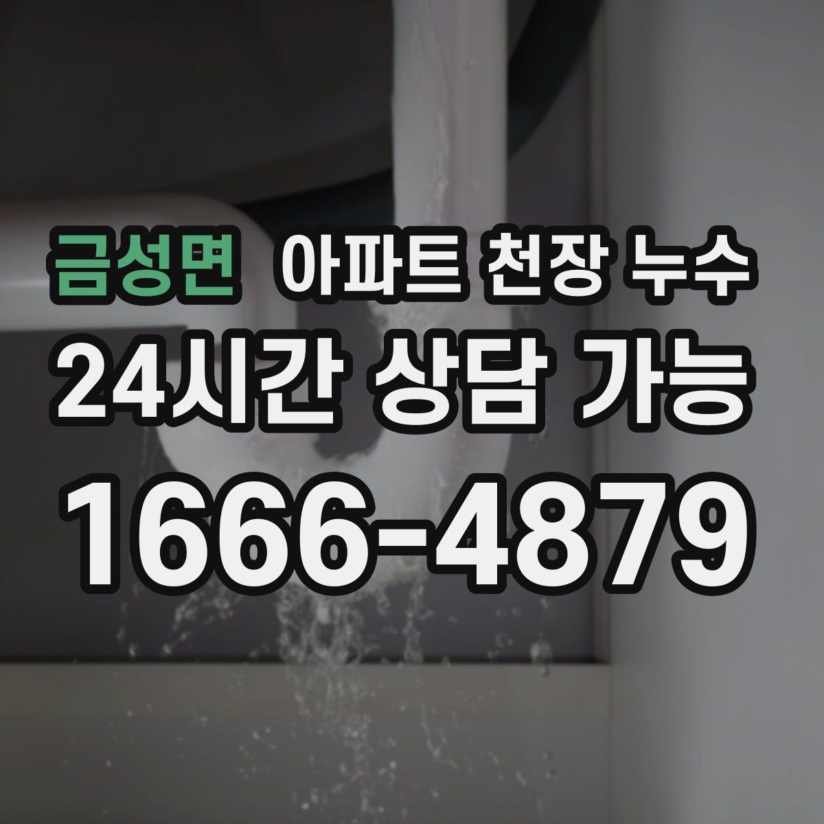 금성면 아파트 천장 누수