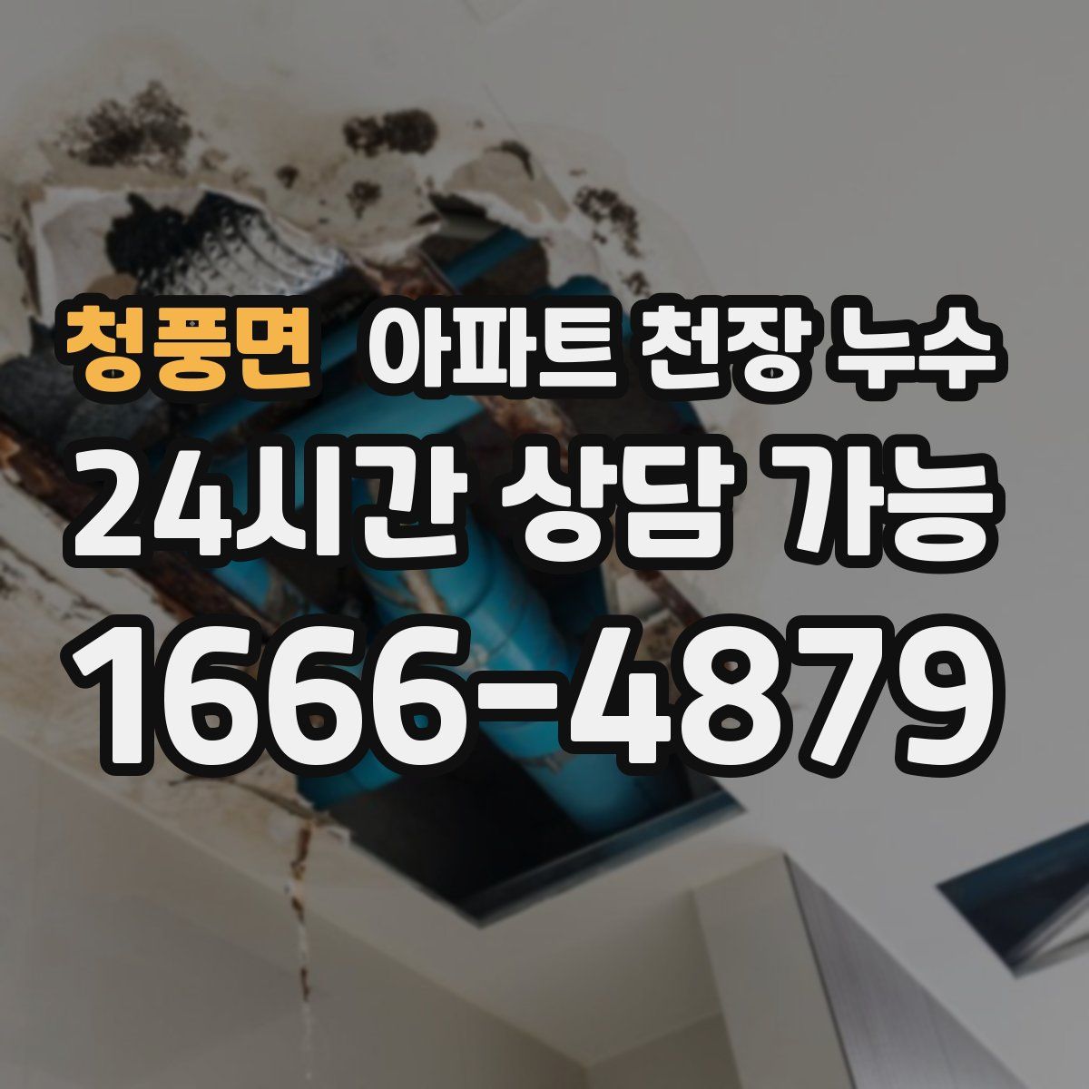 청풍면 아파트 천장 누수