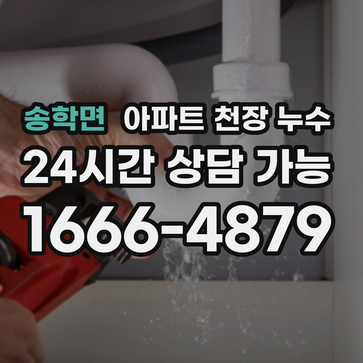 송학면 아파트 천장 누수