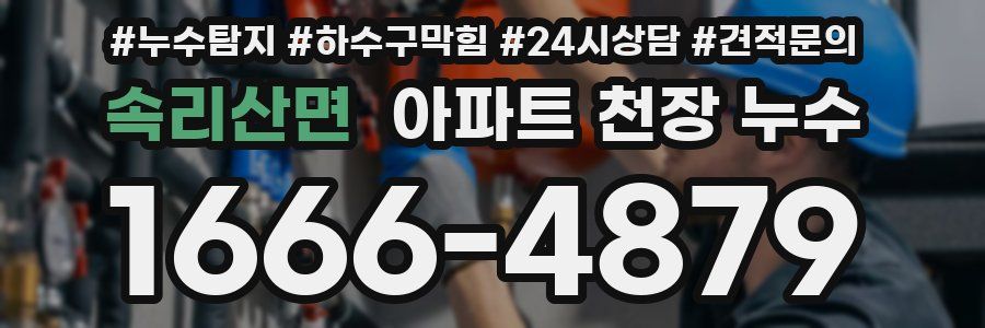 속리산면 아파트 천장 누수