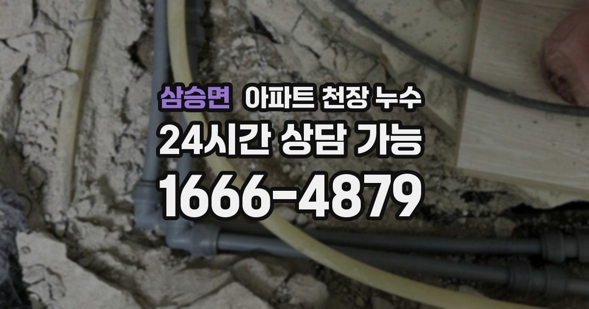 삼승면 아파트 천장 누수