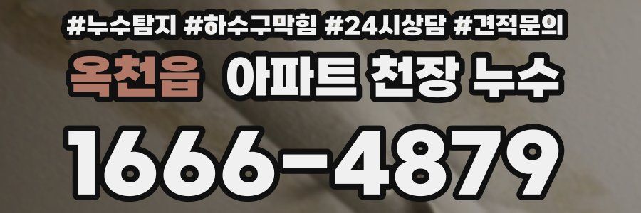 옥천읍 아파트 천장 누수