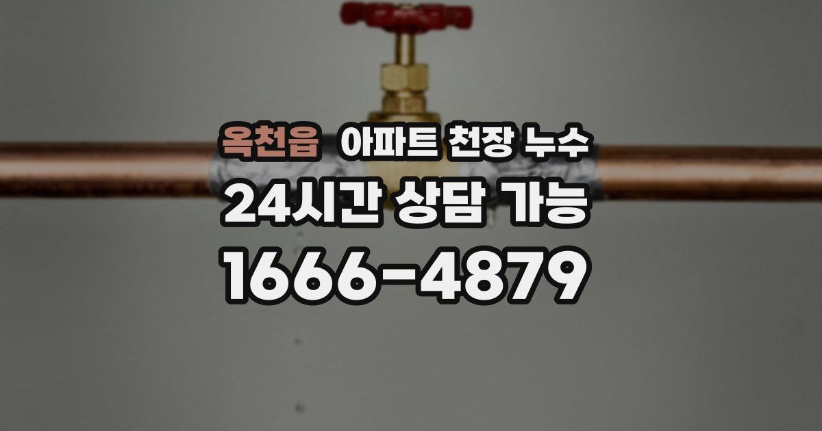 옥천읍 아파트 천장 누수