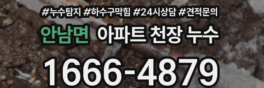 안남면 아파트 천장 누수