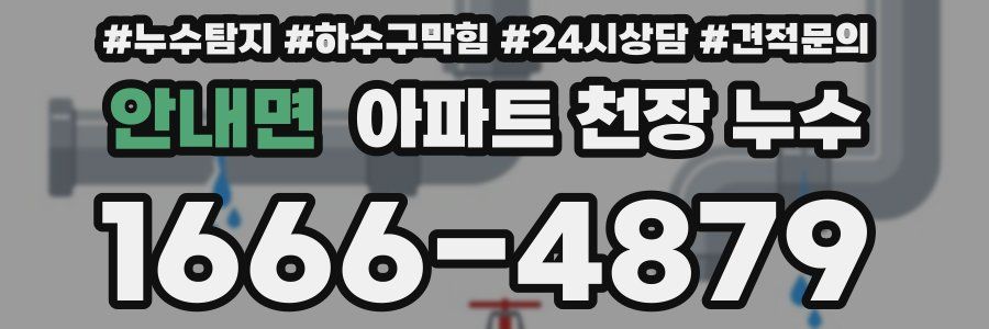 안내면 아파트 천장 누수
