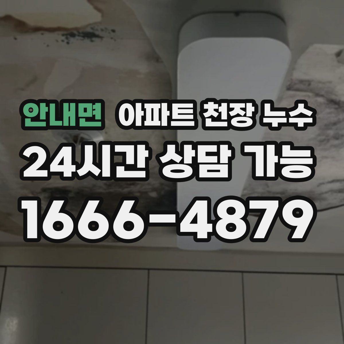 안내면 아파트 천장 누수
