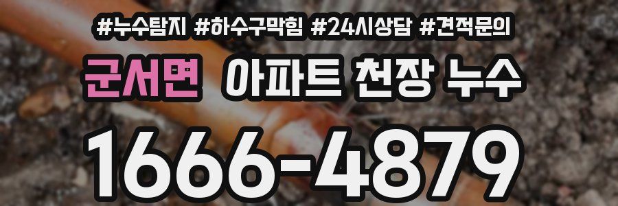 군서면 아파트 천장 누수