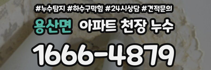 용산면 아파트 천장 누수