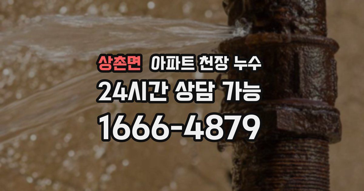상촌면 아파트 천장 누수