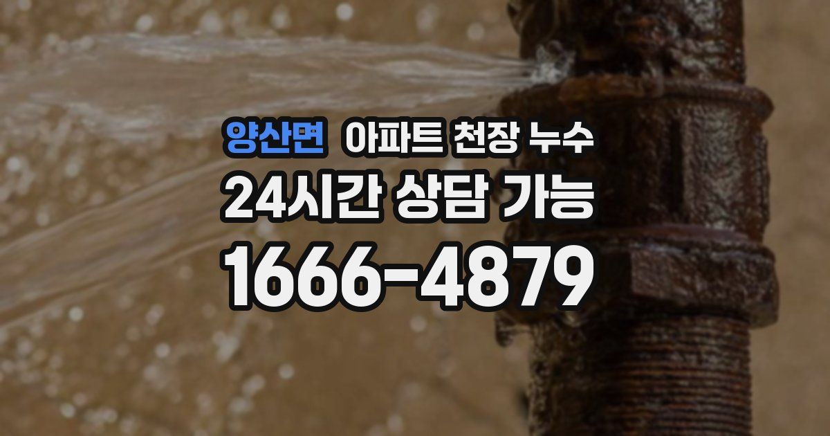 양산면 아파트 천장 누수