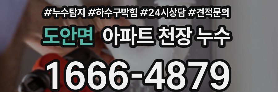 도안면 아파트 천장 누수