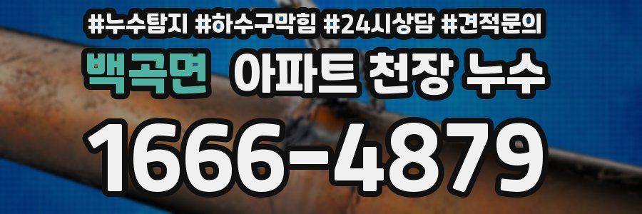 백곡면 아파트 천장 누수