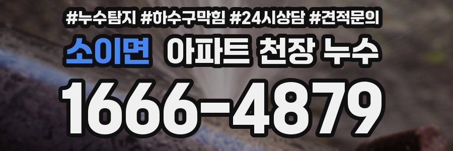 소이면 아파트 천장 누수