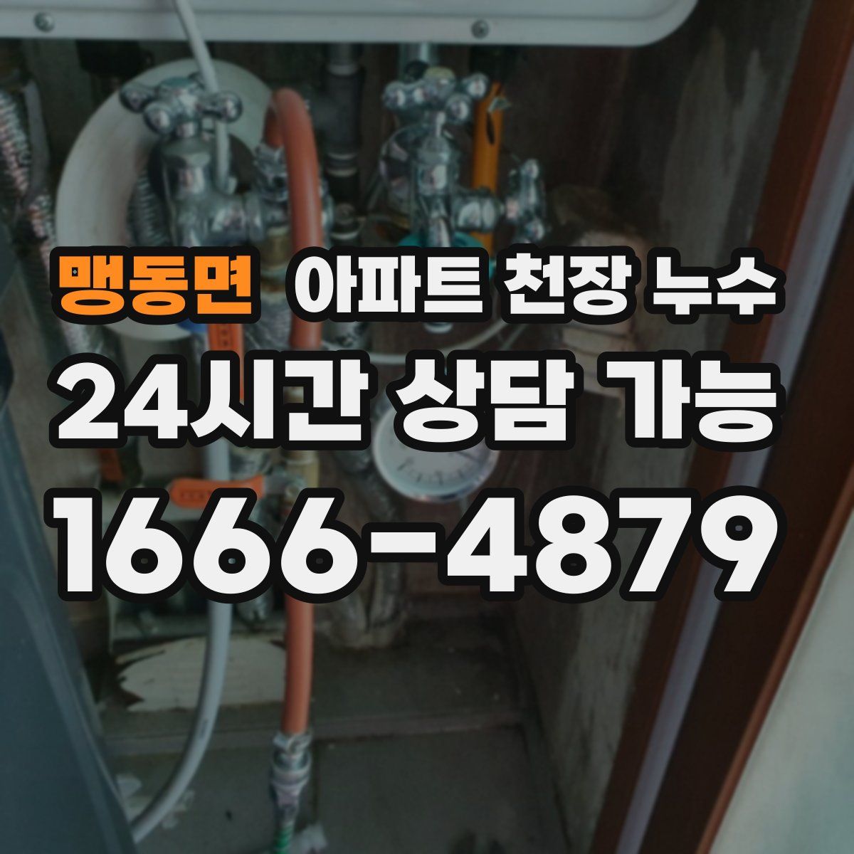 맹동면 아파트 천장 누수