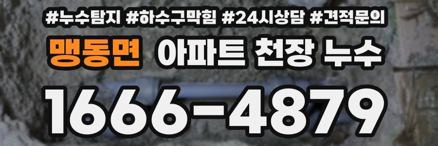 맹동면 아파트 천장 누수