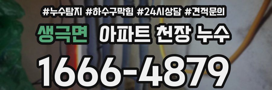 생극면 아파트 천장 누수