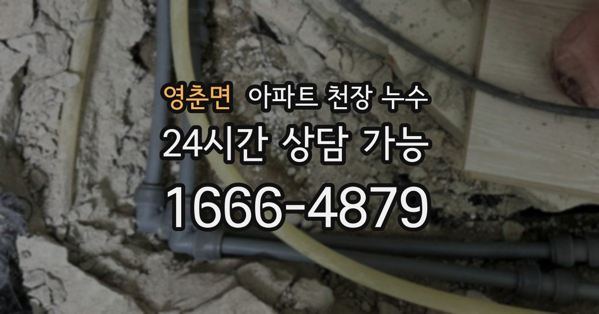 영춘면 아파트 천장 누수