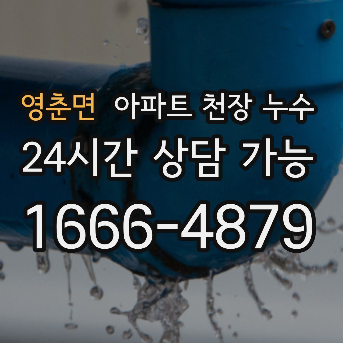 영춘면 아파트 천장 누수