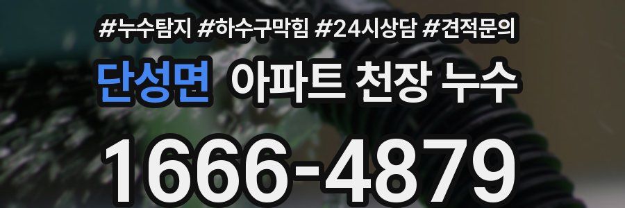 단성면 아파트 천장 누수